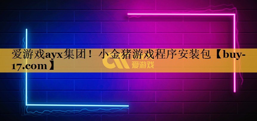 小金猪游戏程序安装包 小金猪游戏程序安装包